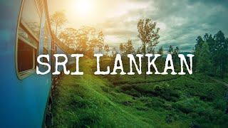 Beautiful Srilankan | Gajaga Wannama | EDM Remix |