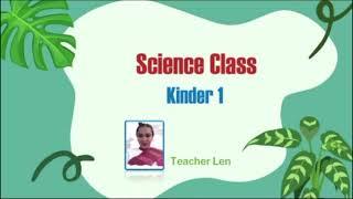 Kinder 1 | Plants 🪴 | Teacher Len