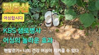 [#106]맨발걷기효과 어싱으로인생을 바꾼다 KBS생로병사 놀라운데이터 더보기 아래링크에서 확인하세요