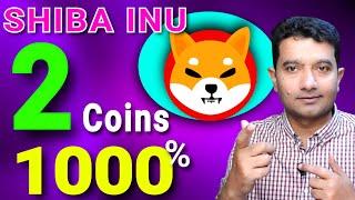 Shiba Inu Coin 1000 per cent Chance 2 Coins You Won't Miss