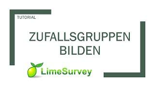 LimeSurvey: Zufällige Gruppen von Befragten bilden (Randomisierung)