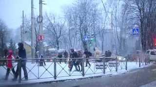 Скоро была зима.... Такая редкость... Калининград.