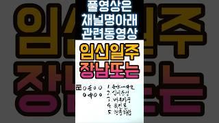 임신일주 특 #사주 #팔자 #사주팔자 #일주론 #임신일주 #2024년 #갑진년