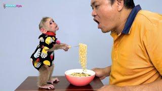 Monkey Kyo makes breakfast by himself – Dad can't believe his eyes!!