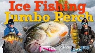 Ice Fishing Jumbo Perch