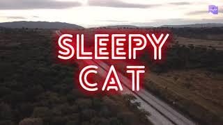 Magic Sleeper - Sleepy CAT  / Beautiful Relaxing Music, Peaceful Soothing