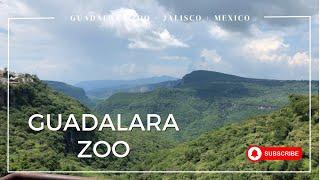 BEST Day at Guadalajara Zoo