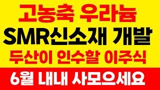 [주식] 두산이 인수 할 고농축 우라늄 SMR 신소재 개발! '이주식' 6월 내내 사모으세요. 미친듯이 상승해요. #SMR#두산에너빌리티#두산#우리기술#한전기술