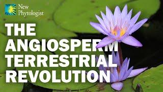 The Angiosperm Terrestrial Revolution