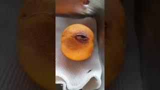 Orange with eye