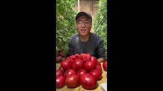 来到普罗旺斯西红柿产地了，这次也有三块的优惠，大家抓紧回购#老挝媳妇 #日常vlog