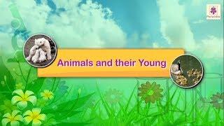 Animals And Their Young Ones | Science For Kids | Grade 4 | Periwinkle