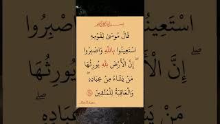 آيات من الذكر الحكيم
