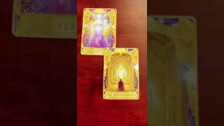 #340 Capricorn - Angel Answers Oracle Message