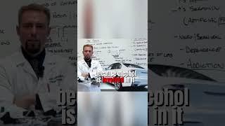 Costly Affects of Alcohol Use | Brain Doctor