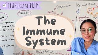 TEAS 7 Exam The Immune system Easy breakdown