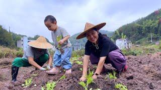 Yike speaks in a baby voice and is also an expert at growing vegetables.