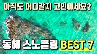 동해 스노클링 포인트 BEST 7 | 바다가기전 꼭 참고하세요