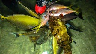 NIGHT SPEARFISHING PHILIPPINES! || UNICORN HARVEST!