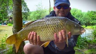 Catching Loads of CARP on a Windy Day in July - Carp Fishing Session