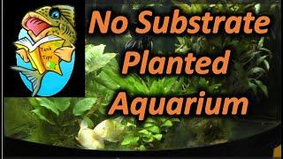 TANK TIP- No Substrate Planted Aquarium-More Room, Lower Nitrates, Faster Growing Aquarium plants!