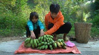 The poor boy and the poor girl picked bananas to sell and made cupboards from bamboo