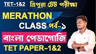 BENGALI PEDAGOGY||TRIPURA TET||আসন্ন টেট পরীক্ষাকে সামনে রেখে বাংলা পেডাগজির প্রশ্নোত্তর||TET-1&2||