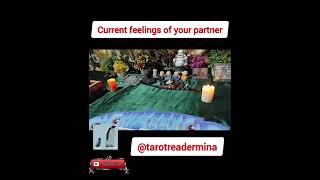  Current Feelings of Your Partner ️ What’s on Their Mind? #tarot #soulclarity #tarotreading