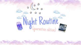 Night routine in quarantine~presley Palmer