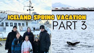 Iceland Spring Break Family Vacation [Part 3] Whale Watching, Reykjavik + Flying Play to NY