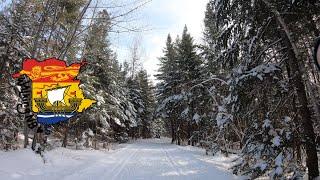 Porc-Epic and Carcajou trails at Centennial Park, Moncton NB | Real Time Walking | 4K