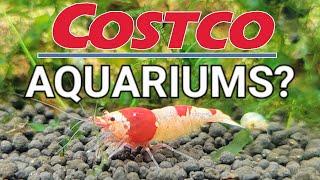 The Cheapest, Best and Easiest Aquarium From... Costco?