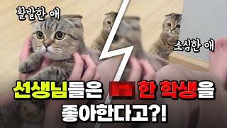 최애 학생?시험출제의 비밀? 현직 선생님 다섯분께 대신 물어봐드림 | 입시덕후