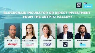 Blockchain Incubator or Direct Investment from the Crypto Valley?