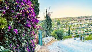 Palestine- Beit Doqu Village   بيت دقو