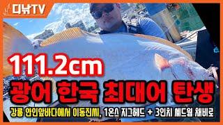 111.2cm 광어 한국 최대어 탄생! 강릉 안인 앞바다에서 이동진씨, 1온스 지그헤드 + 3인치 레드컬러 셰드 웜으로 히트!