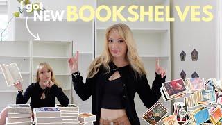 Build and organise my NEW BOOKSHELVES with me!