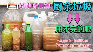 厨房垃圾不要丢，学会3个步骤，变成蔬菜有机肥，再也不用买肥料|Organic fertilizer from Kitchen waste