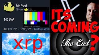 Ripple XRP i want to quit | ELON CONFIRMED MR POOL | IM BULLISH HOW DIDNT WE SEE THIS WOW!