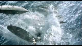 Moby Dick (2010) Trailer