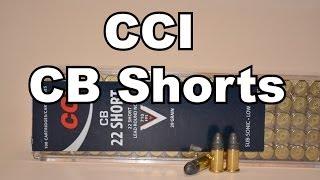 CCI Low Noise CB .22 Shorts in Semi-Auto Rifles