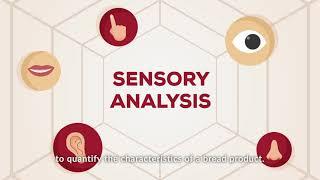 What is Sensory Analysis?