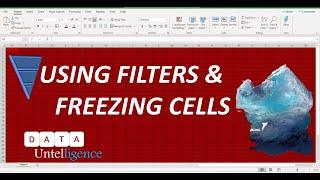 Using Filters and Freezing Cells in Excel - Cleaning Excel Data Series Part 3