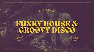 Funky House & Groovy Disco 2024, Live DJ Mix