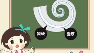 聽力小宇宙~聽力是怎麼變老的呢？008