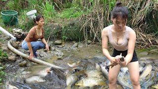 TOP VIDEO: Survival Skills, Fishing Techniques Harvesting Many Big Fish - Survival Fishing