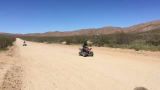 Yamaha Raptor 80 Vs. Yamaha Raptor 50