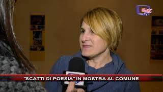 SCATTI DI POESIA IN MOSTRA AL COMUNE