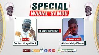 [DIRECT ] Spécial Wadial Gamou Médina baye ak Docteur Mbaye Diouf Ce 15 Septembre 2024