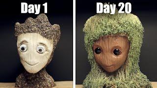 Growing Groot Chia Pet - 20 Days Time Lapse (Chia Seeds)